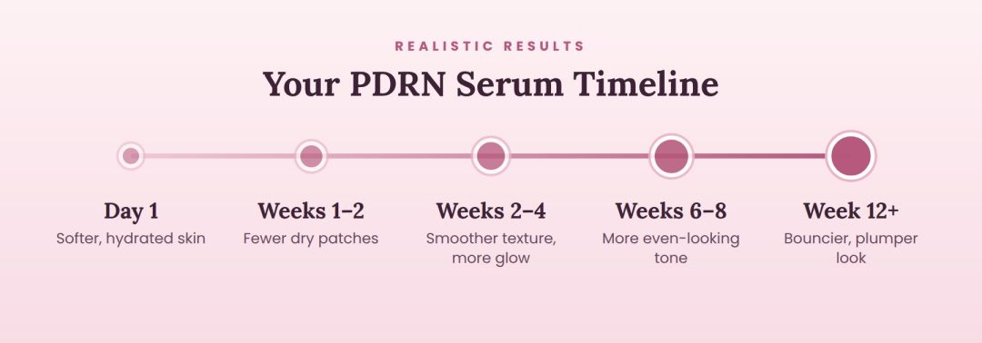 pdrn serum results timeline