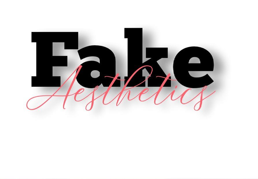 FAKE image 1