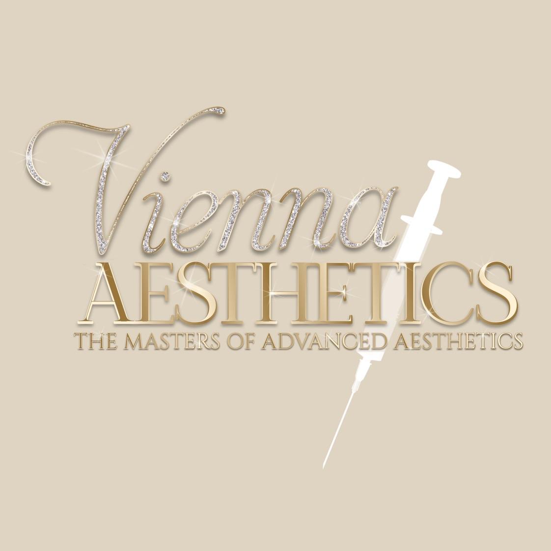 Vienna aesthetics image 1