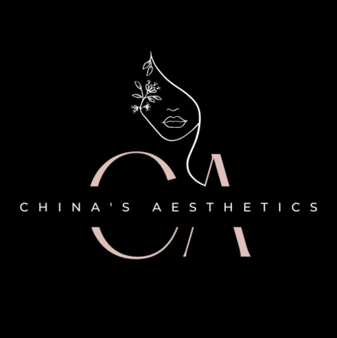 Chinas Aesthetics image 1