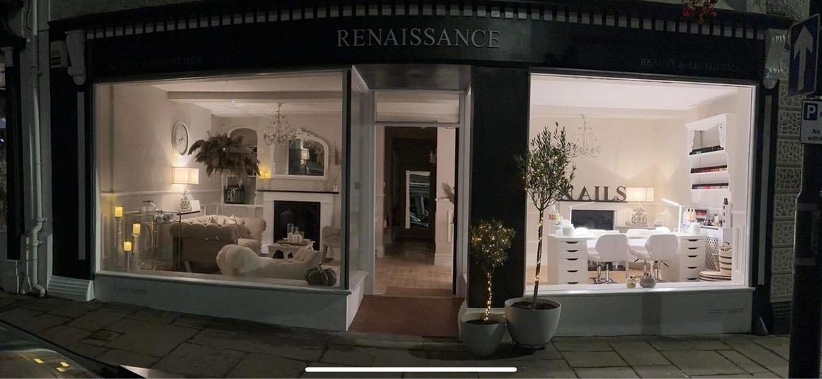Renaissance Beauty and Aesthetics image 1