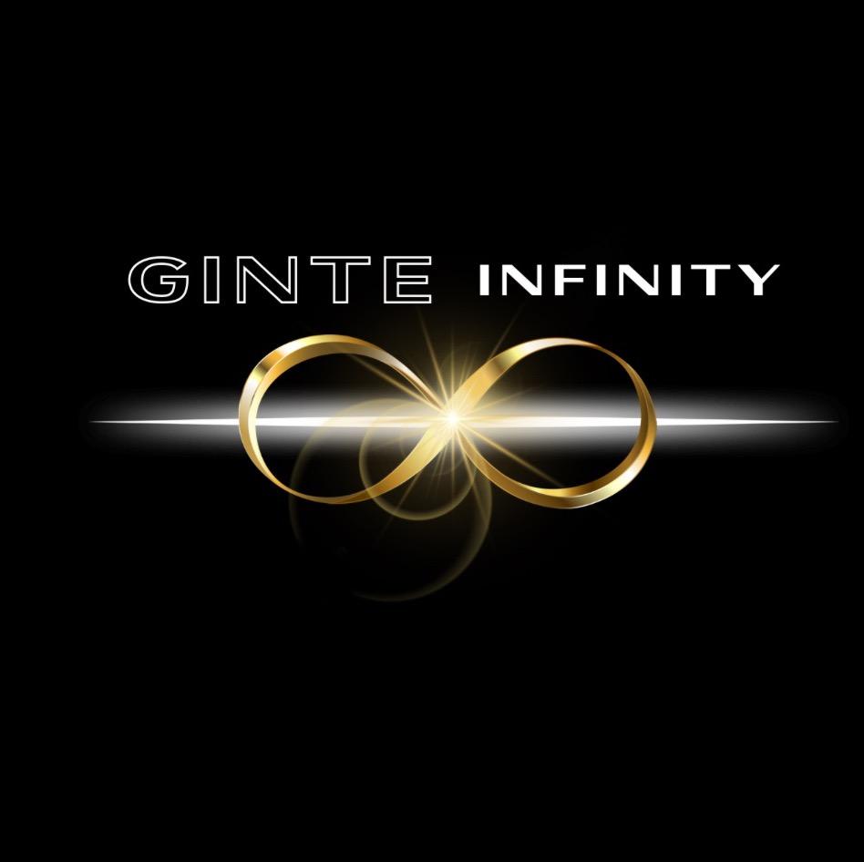 Ginte Infinity image 1
