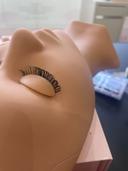 Lashed By Lola