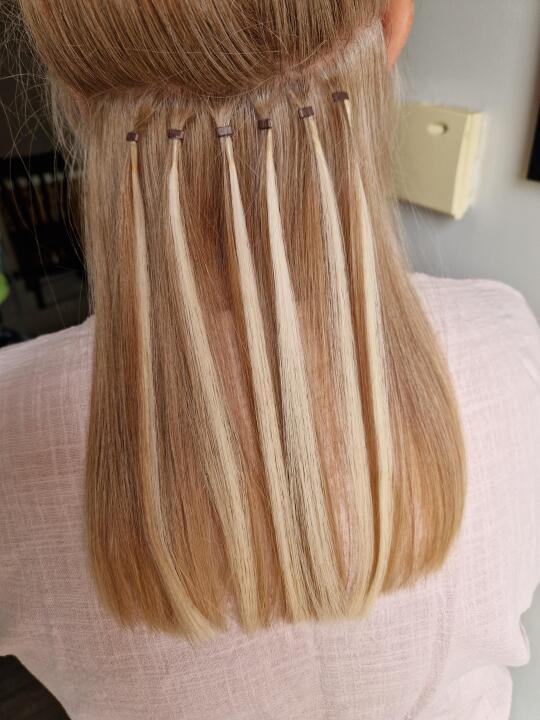 Mel's Mane image 1