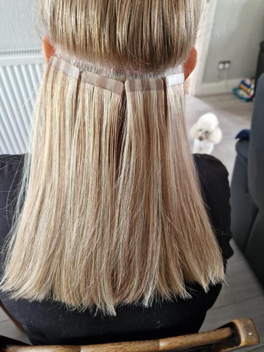 Mel's Mane image 2