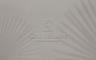 faces-image