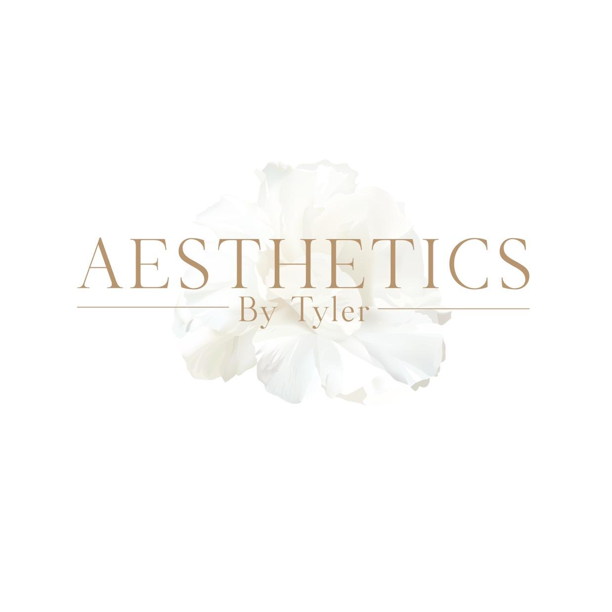 Aesthetics by Tyler image 1