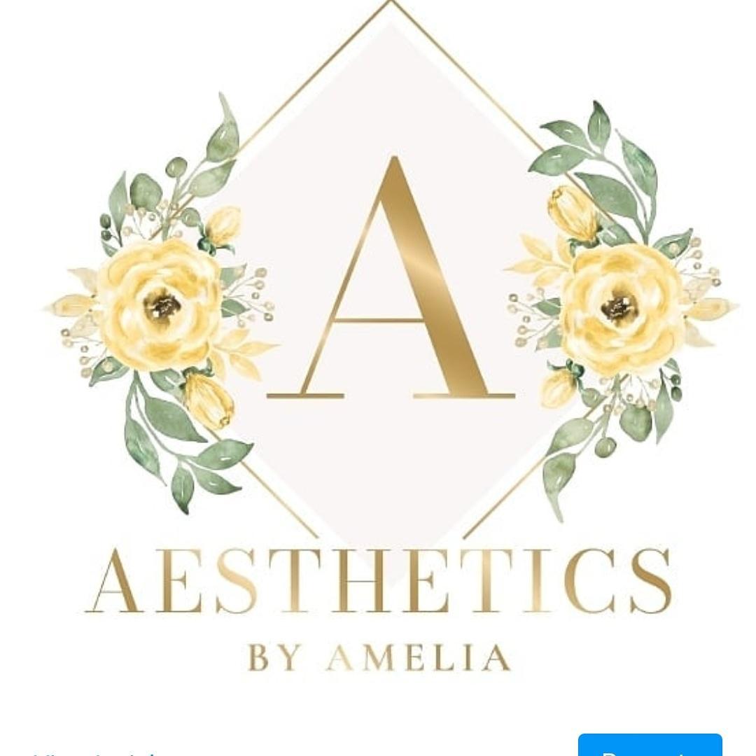Aesthetics by Amelia image 1