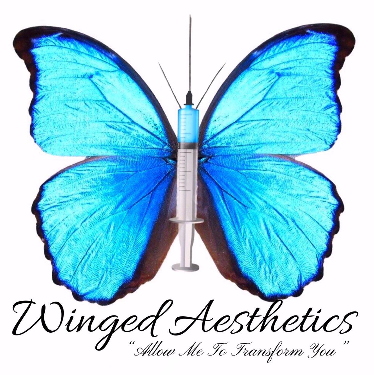 Winged Aesthetics  image 1