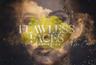 faces-image