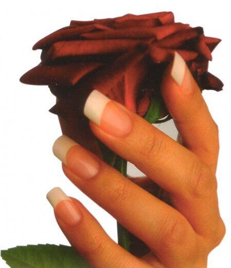Beauty At Your Fingertips image 1