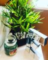 faces-image